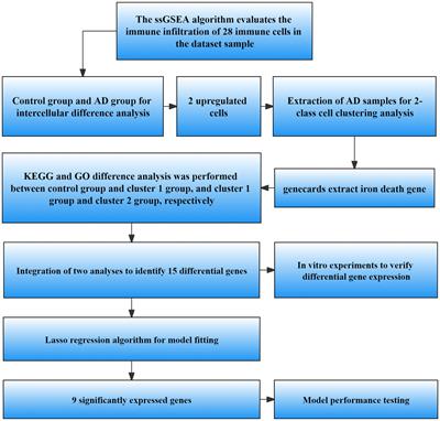 Constructing a prognostic risk model for Alzheimer’s disease based on ferroptosis